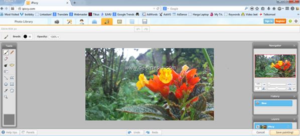 Aplikasi Editor Foto Untuk PC Tanpa Download dan Gratis