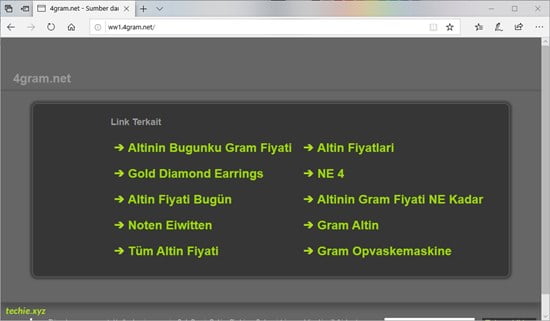 4gram.net
