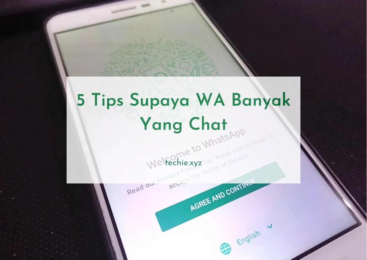 5 Tips Supaya WA Banyak Yang Chat