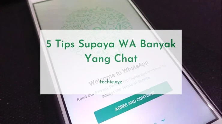 5 Tips Supaya WA Banyak Yang Chat