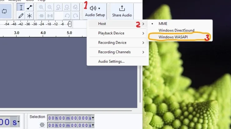 Windows WASAPI di Audacity