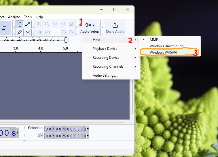 Windows WASAPI di Audacity